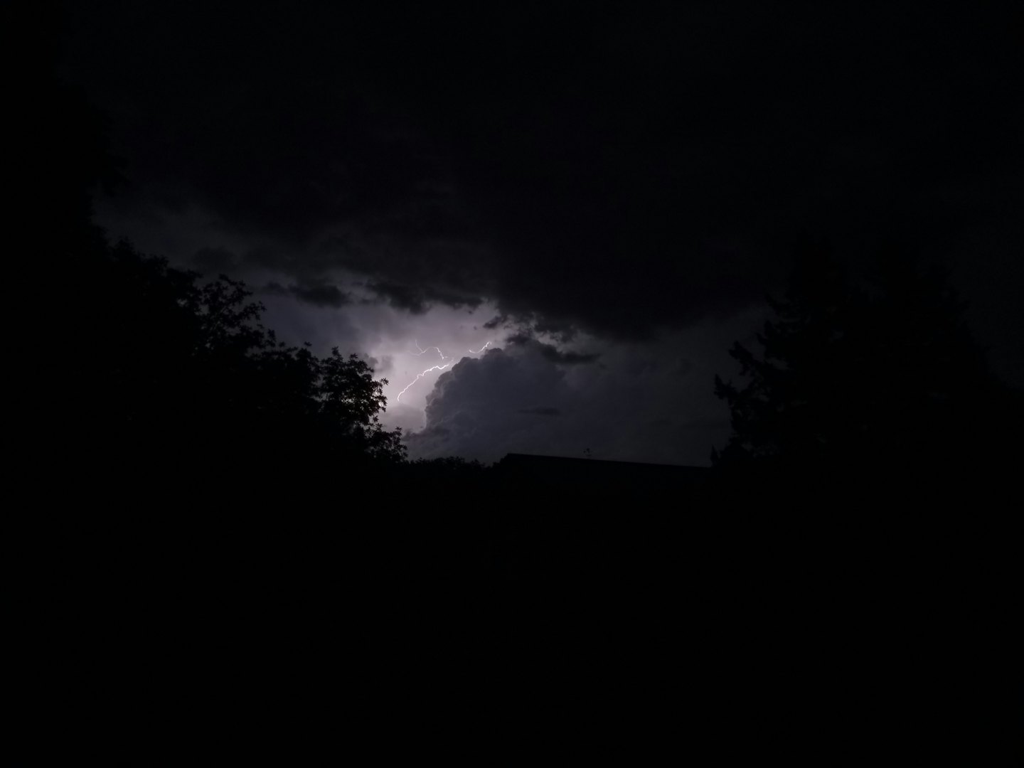 Lightning strikes behind silhouetted tree branches and a roofline.